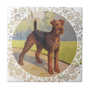 Carreau En Céramique Sur le vert