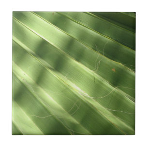 Carreau En Céramique Surfaces naturellement Cool_Fluted Frond