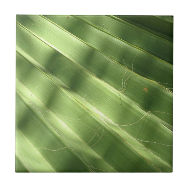 Carreau En Céramique Surfaces naturellement Cool_Fluted Frond (Devant)