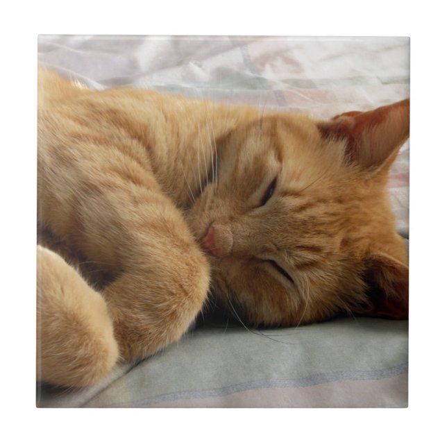 Carreau En Céramique Sweet Dreams (Devant)