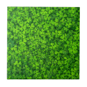 Carreau En Céramique Symbole irlandais vert shamrock Clovers Irlande