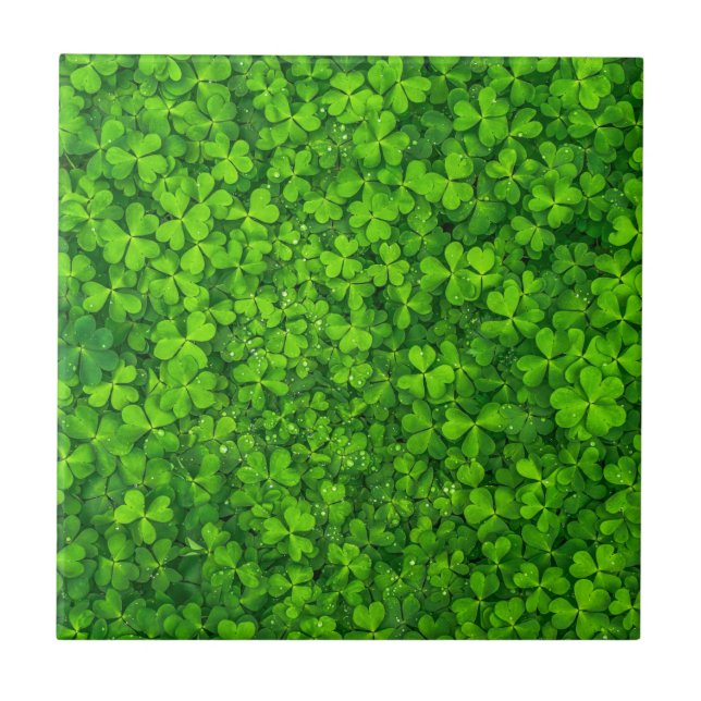 Carreau En Céramique Symbole irlandais vert shamrock Clovers Irlande (Devant)