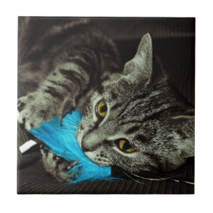 Carreau En Céramique Tabby Cat avec plume par Shirley Taylor