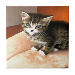 Carreau En Céramique Tabby Cat Kitten Portrait pour animaux