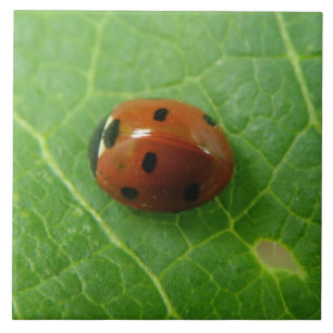 Carreau En Céramique Table Ladybug