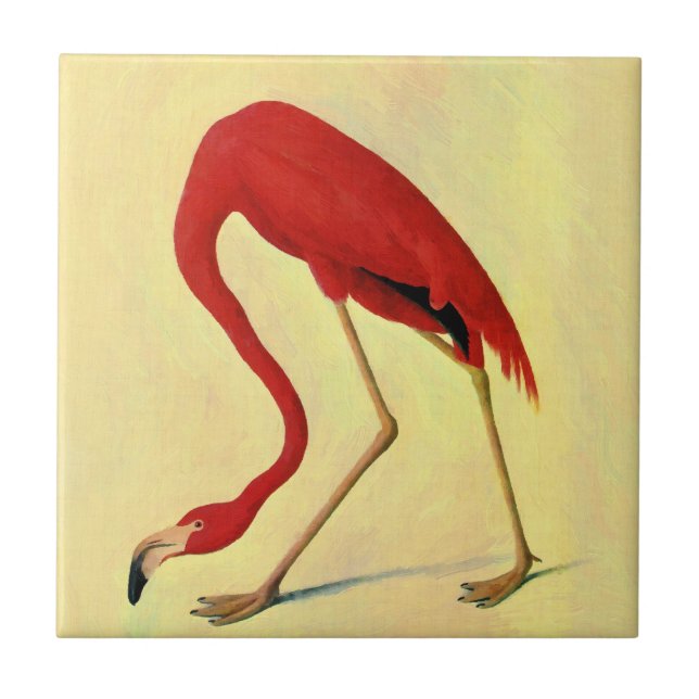 Carreau En Céramique Tableau Flamant rose américain Audubon (Devant)