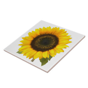 Carreau En Céramique Tailles de la tuile de tournesol (2)