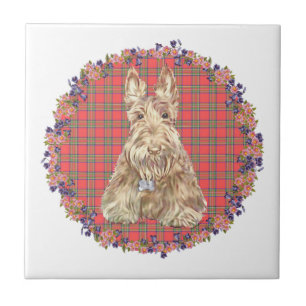Carreau En Céramique Tartan Scottie Blé