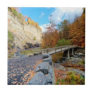 Carreau En Céramique Taughannock tombe parc d'état