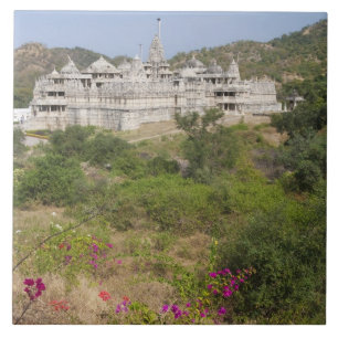 Carreau En Céramique Temple jaïn de Ranakpur, Ranakpur, Rajasthan, Inde