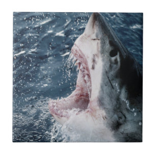 Carreau En Céramique Tête de grand requin blanc