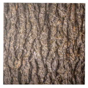 Carreau En Céramique Texture de l'écorce d'arbre