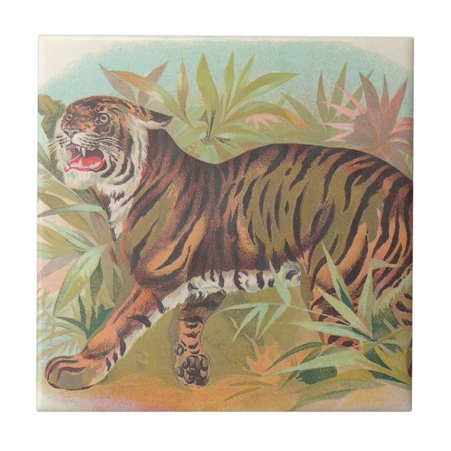 Carreau En Céramique Tigre (Devant)