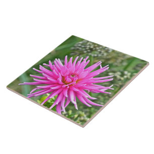 CARREAU EN CÉRAMIQUE TILE CÉRAMIQUE /PINK DAHLIA