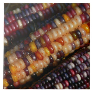 CARREAU EN CÉRAMIQUE TILE, "COLORE INDIAN CORN" CARACTÈRE DÉCORATIF