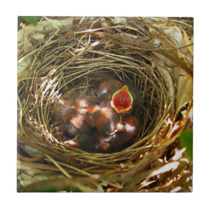 Carreau En Céramique Tile d'art Sing Out