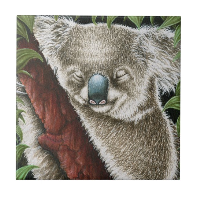 Carreau En Céramique Tile de Koala endormie (Devant)
