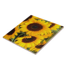 Tile de tournesol