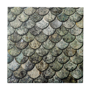 Carreau En Céramique Toit d'ardoise norvégien de motif d'échelle de