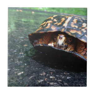 Carreau En Céramique Tortue boîte