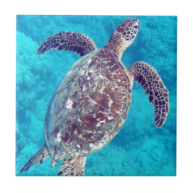 Carreau En Céramique Tortue de mer verte d'Hawaï (Devant)