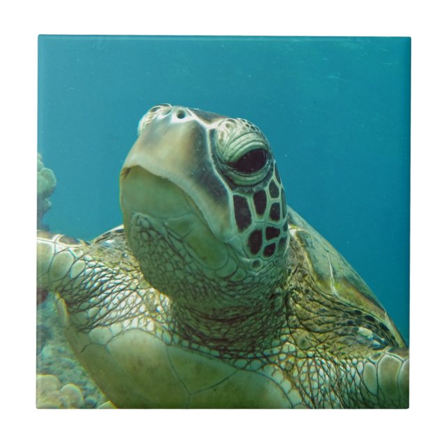 Carreau En Céramique Tortue de mer verte d'Hawaï - Honu (Devant)