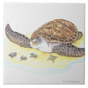 Carreau En Céramique Tortue et bébés de mer