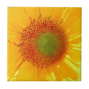 Carreau En Céramique Tournesol