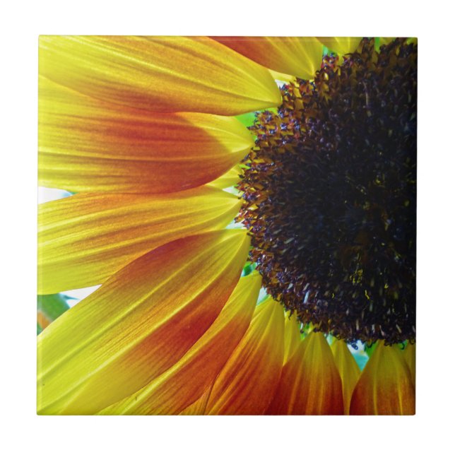 Carreau En Céramique Tournesol (Devant)