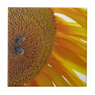 Carreau En Céramique Tournesol aux bourdons