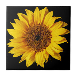 Carreau En Céramique Tournesol sur l'arrière - plan noir
