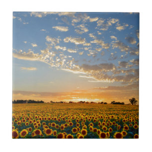 Carreau En Céramique Tournesols au coucher du soleil