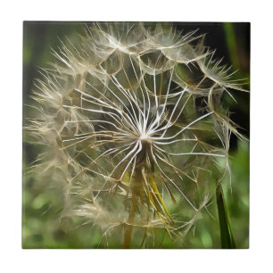 Carreau En Céramique Tragopogon Fleur sauvage Salsify Nature Loisirs Ar