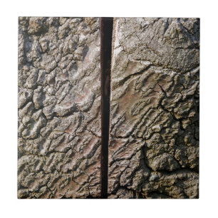 Carreau En Céramique Tree with centre cut