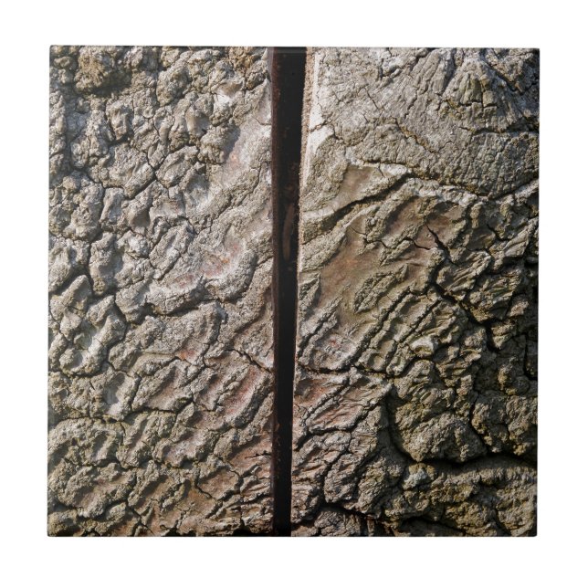 Carreau En Céramique Tree with centre cut (Devant)