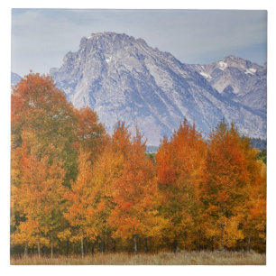 Carreau En Céramique Trembles avec la chaîne de montagnes Teton