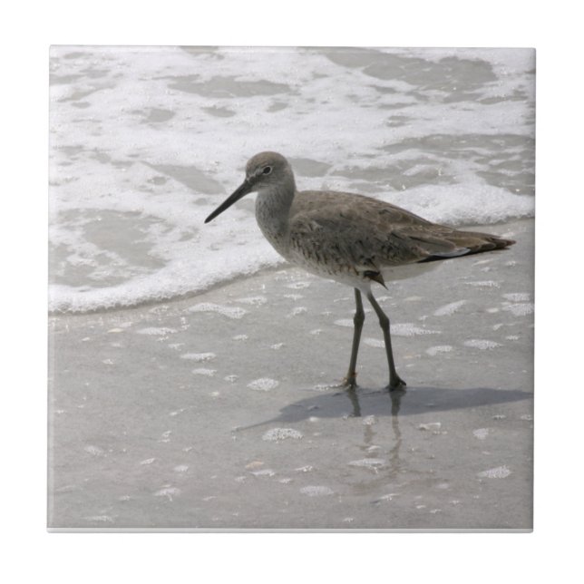 Carreau En Céramique Trivet en tuile céramique de Beach Shorbirds (Devant)
