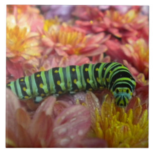 Carreau En Céramique Trivet en tuile Nosy Caterpillar