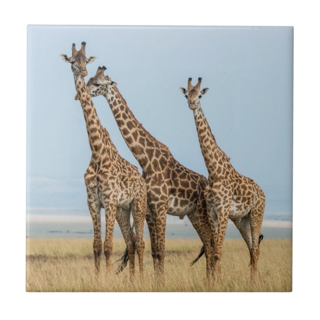 Carreau En Céramique Trois girafes Poing (Devant)