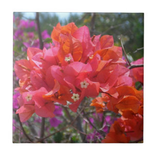Carreau En Céramique Tropical Pink Bougainvillea Island Floral