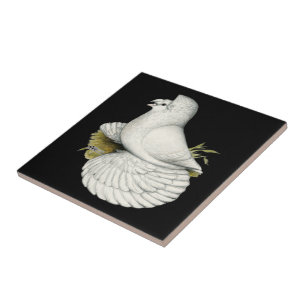 Carreau En Céramique Trumpeter Pigeon White