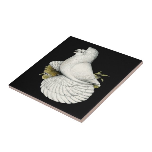Carreau En Céramique Trumpeter Pigeon White (Côté)