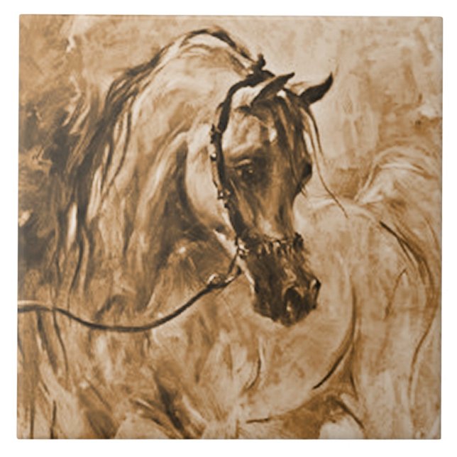 Carreau En Céramique Tuile Arabe de cheval (Devant)