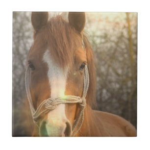 Carreau En Céramique Tuile arabe de cheval de châtaigne