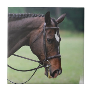 Carreau En Céramique Tuile Arabe douce de cheval