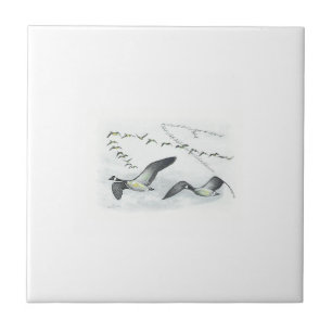 Carreau En Céramique Tuile canadienne d'oies