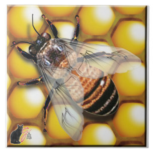 Carreau En Céramique Tuile d'abeille de miel