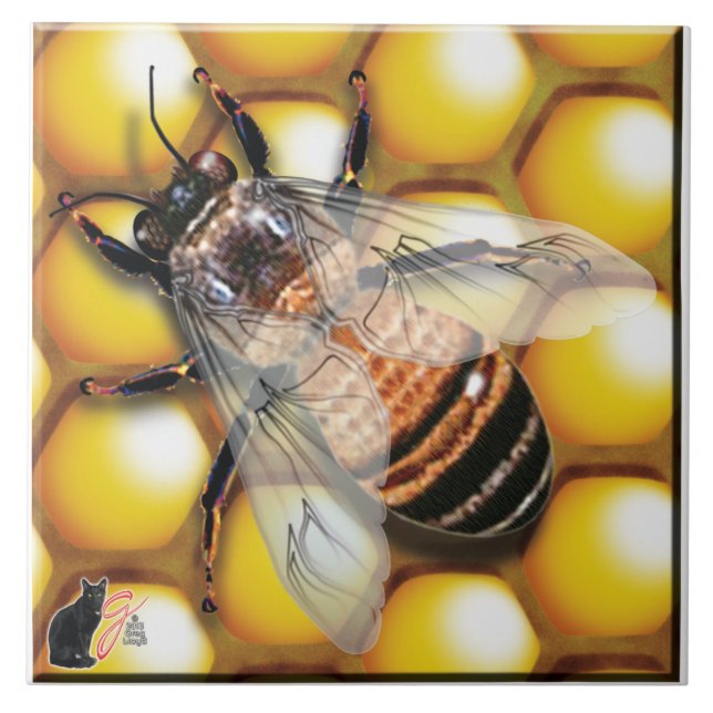 Carreau En Céramique Tuile d'abeille de miel (Devant)