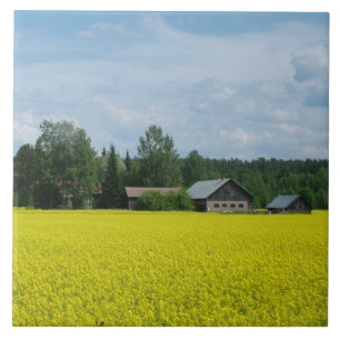Carreau En Céramique Tuile de campagne finlandaise