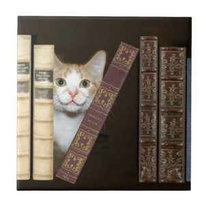 Carreau En Céramique Tuile de chats et de livres